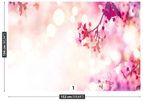 Fototapeta Vliesová Čerešňové kvety 104x70 cm