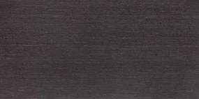 Dlažba Rako Fashion čierna 30x60 cm mat DAKSE624.1
