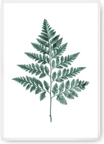 Plagát Fern 21 x 30 cm Emerald Green
