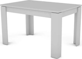 Jedálenský stôl Inter 120x80 cm, biely%