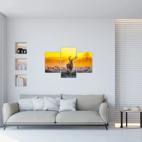 Obraz - Jeleň pri východe slnka (90x60 cm)