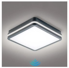 Brilagi - LED Vonkajšie svietidlo so senzorom BENE LED/24W/230V 26x26 cm IP54 BRI051