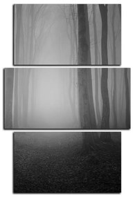 Obraz na plátne - Hmla v lese - obdĺžnik 7182QC (120x80 cm)