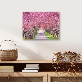 Nástenná maľba rozkvitnutá alej stromov, 40 LED, 30 x 40 cm