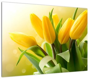Sklenený obraz - Žlté tulipány (70x50 cm)