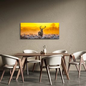 Obraz - Jeleň pri východe slnka (120x50 cm)