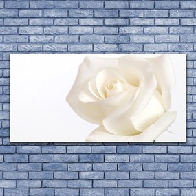 Obraz Canvas Ruže kvety 125x50 cm