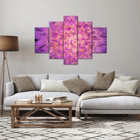 Detailný obraz kvetu (150x105 cm)