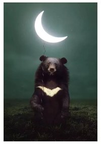 785701 NORIMPEX 5D Diamantová mozaika - Medveď a mesiac