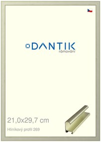DANTIK rám na obraz 21x29,7 | ALU Šedá Pyrit broušená (Sklo Čiré)