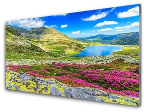 Obraz na akrylátovom skle Hora záliv lúka príroda 100x50 cm