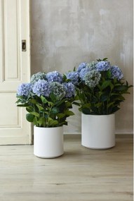 Umelá hortenzia HYDRANGEA v bielom kvetináči, výška 90 cm, modrá