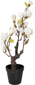 Dekoračný stromček Magnolia s bielymi kvetmi - 16*14*60 cm