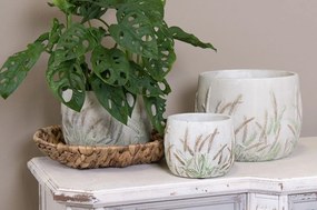 Cementový obal na kvetináč s skorocelom Plantain L - Ø20*20 cm