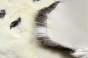 Koberec RENIFER POK007 krémový / sivý