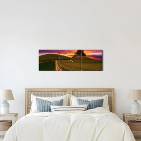 Obraz poľa pri západe slnka (s hodinami) (90x30 cm)