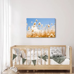 Obraz - Zlaté pole (90x60 cm)