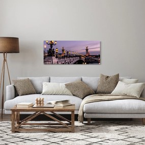 Obraz - Most Alexandra III. v Paríži (120x50 cm)