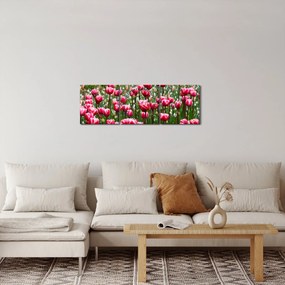 Obraz tulipánov (s hodinami) (90x30 cm)