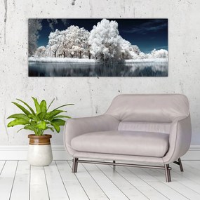 Obraz - Snehobiele stromy (120x50 cm)