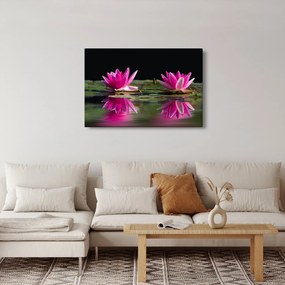 Obraz lekien na vode (90x60 cm)