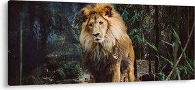 Obraz leva v prírode (120x50 cm)
