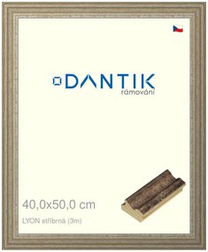 DANTIK rám na obraz 40x50 | LYON stříbrná (Sklo Čiré)