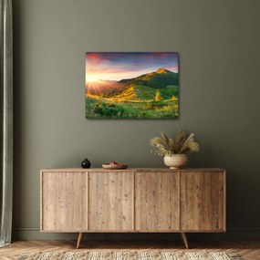 Obraz - Letná krajina (70x50 cm)