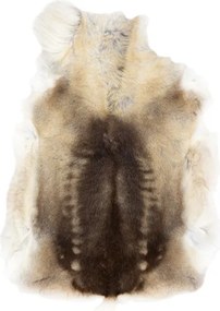 Koberec RENIFER POK016 hnedý / béžový