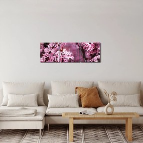 Obraz - Ružová sakura (s hodinami) (90x30 cm)