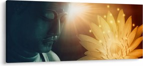 Obraz - Mier (120x50 cm)