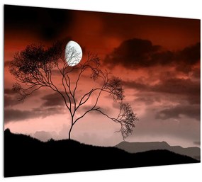 Sklenený obraz - Mesiac osvetľujúce noc (70x50 cm)