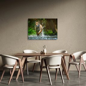 Sklenený obraz bežiaceho tigra (70x50 cm)