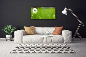 Obraz na plátne Púpava tráva rastlina 120x60 cm
