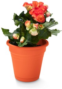 Kvetináč s držiakom na zavesenie na balkón