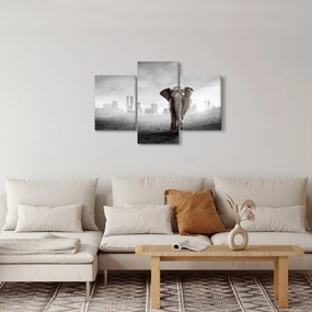 Obraz - Sloník vo veľkomeste, čiernobiely variant (90x60 cm)