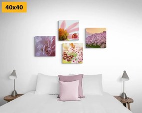 Set obrazov rozkvet prírody - 4x 60x60