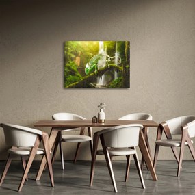 Obraz chameleóna (70x50 cm)