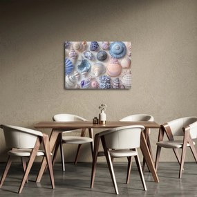 Obraz - Zbierka mušlí (70x50 cm)