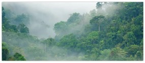 Obraz - Ranná hmla (120x50 cm)