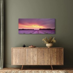 Obraz - Levanduľové pole (120x50 cm)