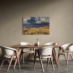Obraz - kaktusy v prírode (90x60 cm)
