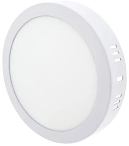 LED Stropné svietidlo LED/12W/230V 4200K pr. 16 cm biela