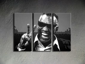 Ručne maľovaný POP Art obraz Ray Charles