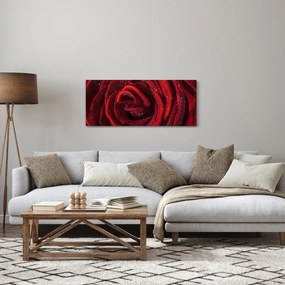 Obraz - Červená ruža s kvapkami rosy (120x50 cm)