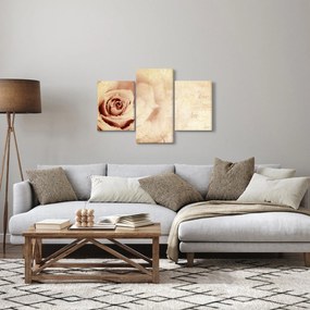 Obraz - Kvet ruže pre zaľúbených (90x60 cm)