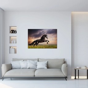 Obraz - Kone (90x60 cm)