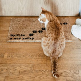 Bella Rose Rohožka Bydlím u své kočky - CZ