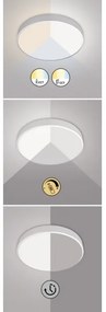 Rabalux 3317 - LED Stmievateľné stropné svietidlo TESIA LED/60W/230V 60 cm + DO