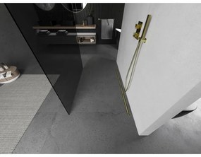 Mexen Kioto, sprchová zástena Walk-In 120 x 200 cm, 8mm šedé sklo, zlatý matný profil, 800-120-002-55-40